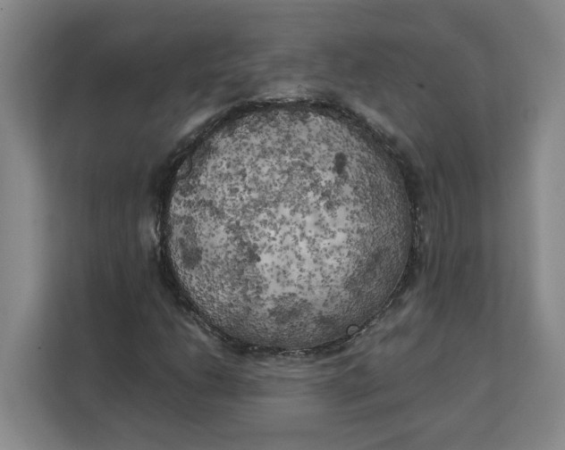 X0000111151206200907141334