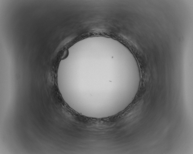X0000111151207200907141334