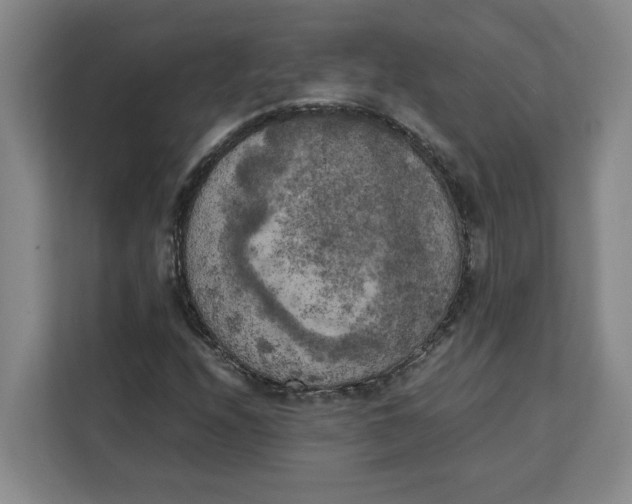 X0000111151208200907141334