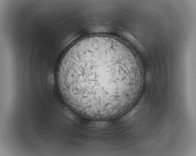 X0000111151209200907141334