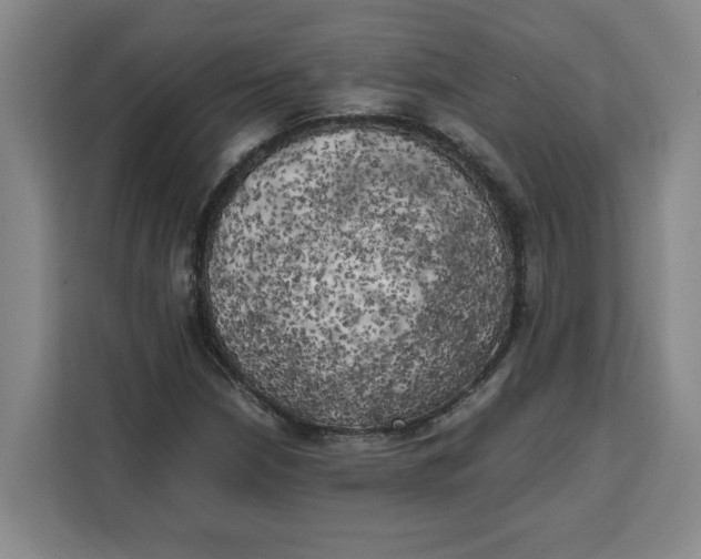 X0000111151210200907141334