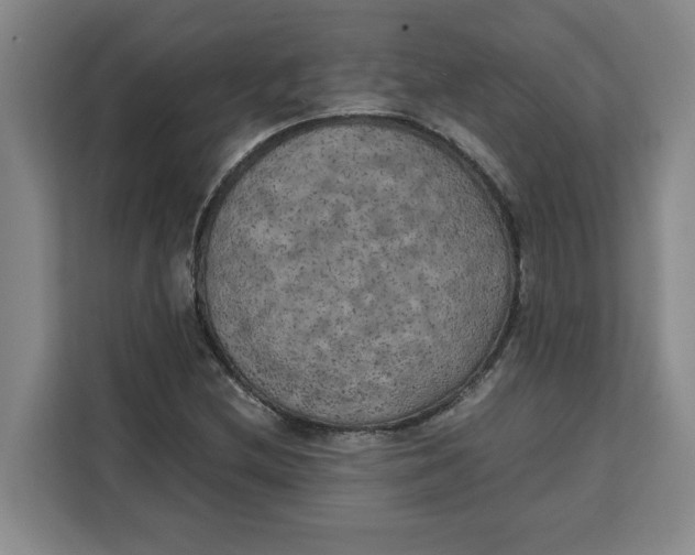 X0000111151212200907141335