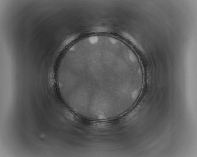 X0000111151213200907141335