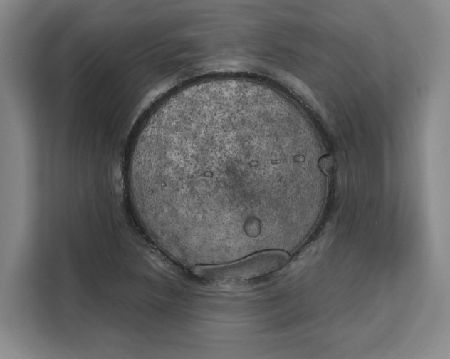 X0000111151218200907141335