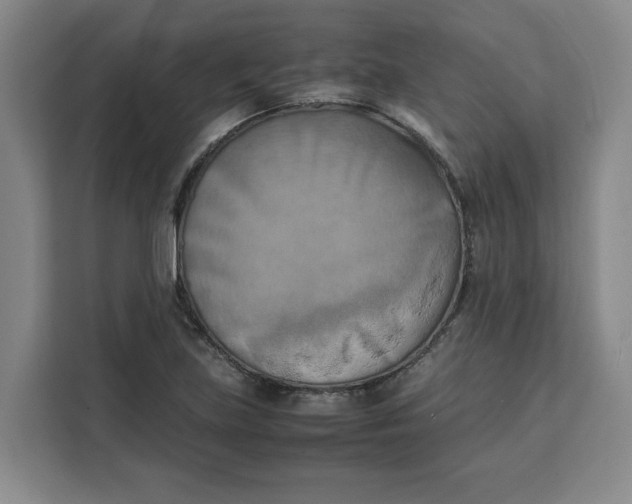 X0000111151219200907141335
