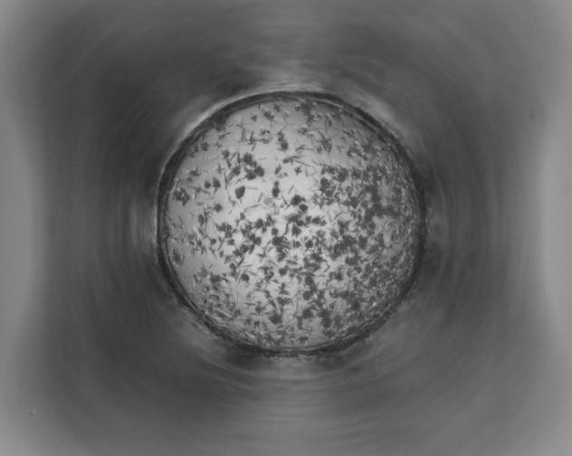 X0000111151220200907141335
