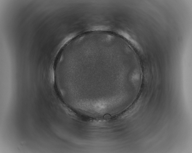 X0000111151221200907141335