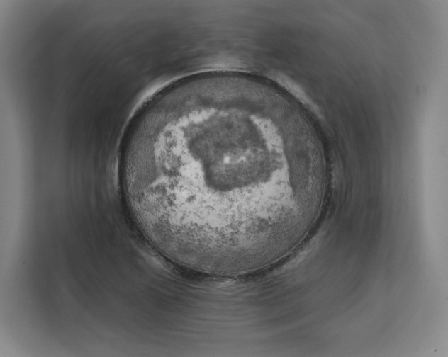 X0000111151222200907141335