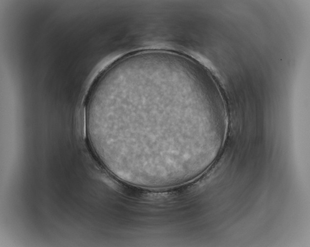 X0000111151223200907141335