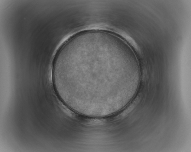 X0000111151224200907141335