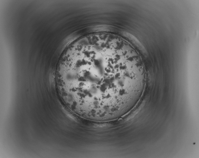 X0000111151225200907141335