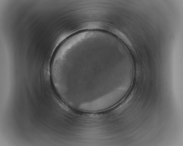 X0000111151226200907141335