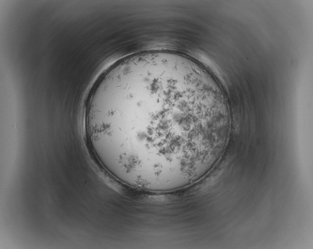 X0000111151227200907141335