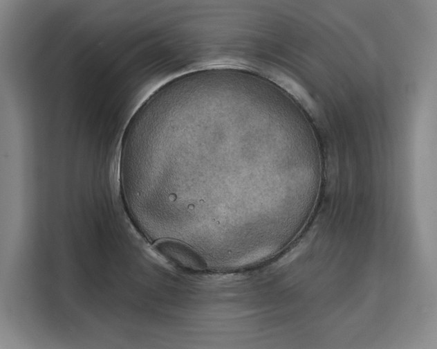 X0000111151228200907141335