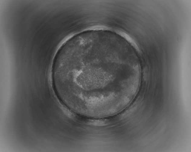 X0000111151229200907141335