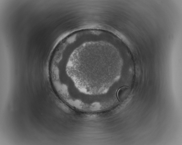 X0000111151230200907141335