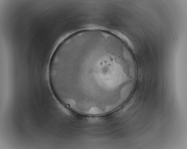 X0000111151231200907141335