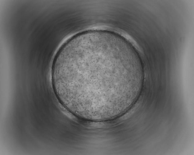 X0000111151232200907141335
