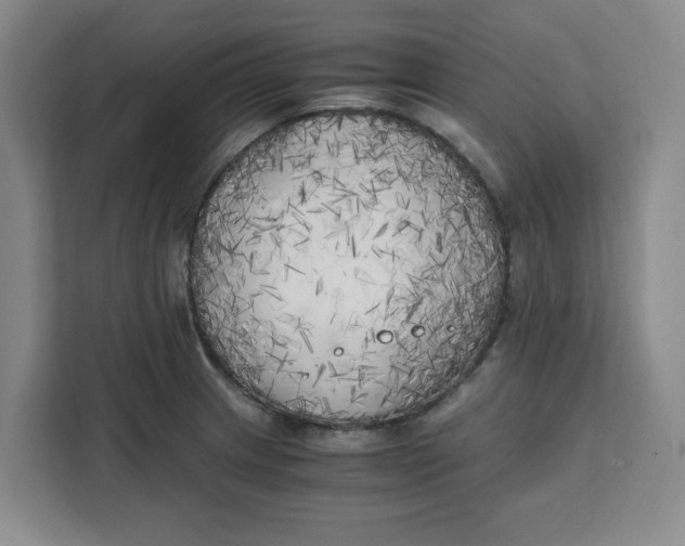 X0000111151233200907141335