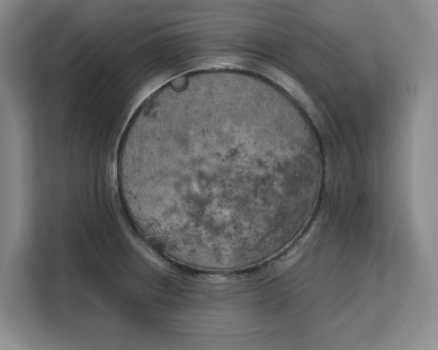 X0000111151234200907141335