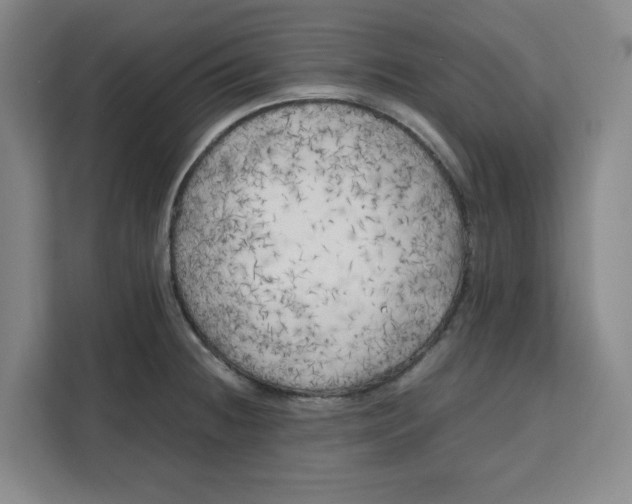 X0000111151236200907141335