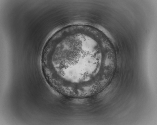 X0000111151237200907141335