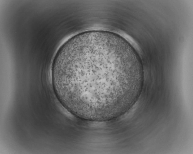 X0000111151238200907141335