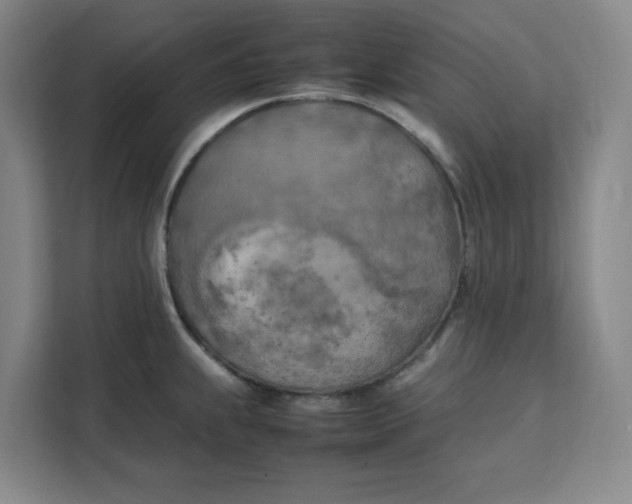 X0000111151239200907141335