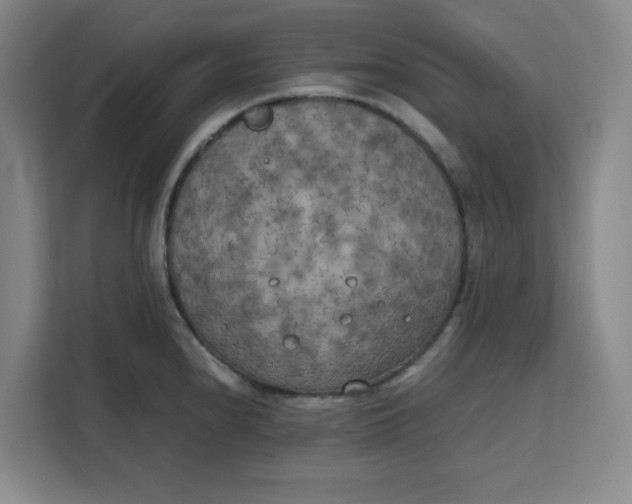 X0000111151240200907141335