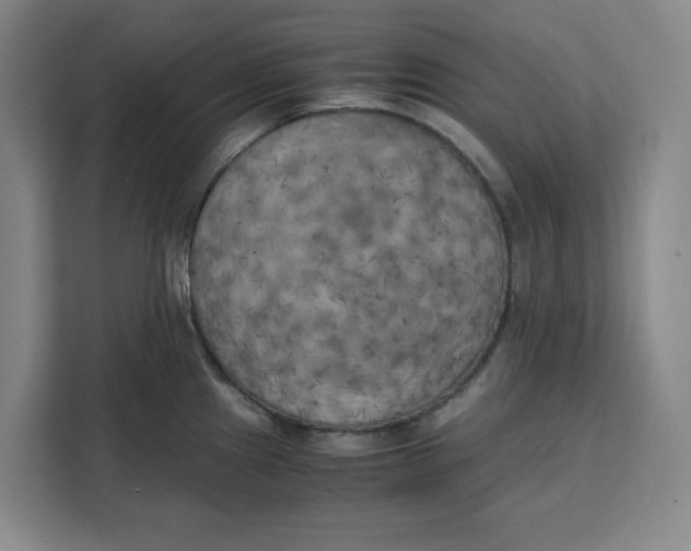 X0000111151241200907141335