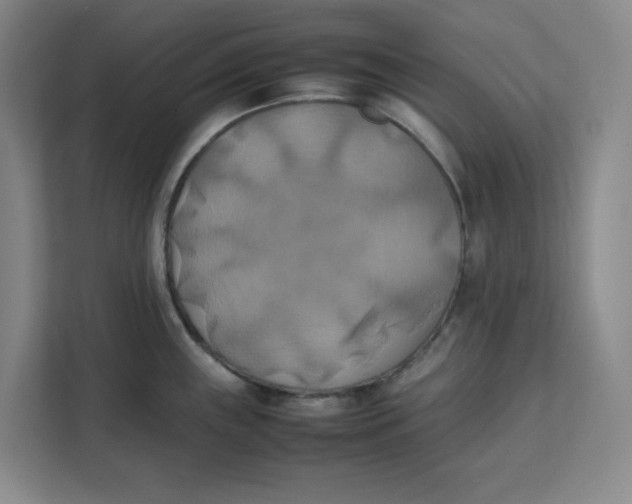 X0000111151243200907141335
