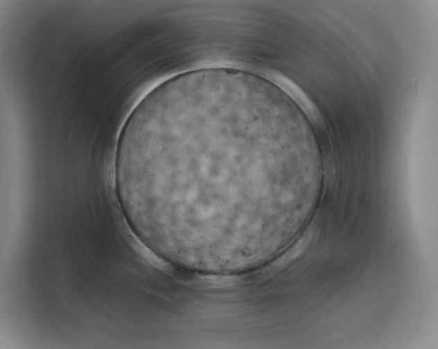 X0000111151244200907141335