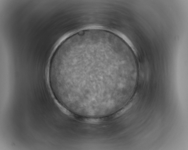 X0000111151245200907141335