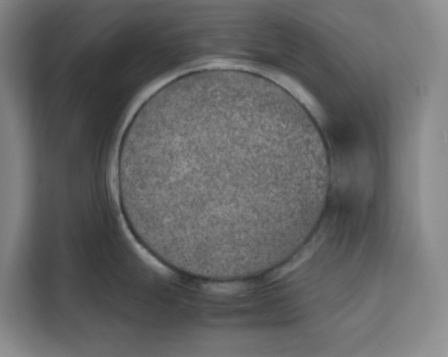 X0000111151247200907141335