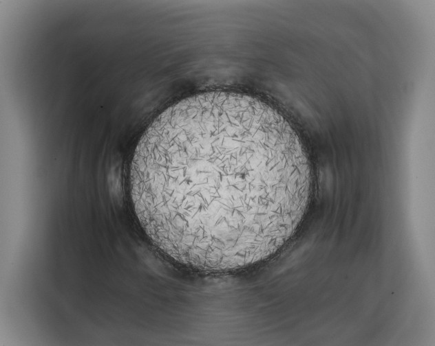 X0000111151250200907141334