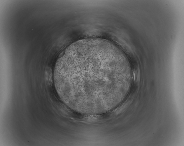 X0000111151251200907141334