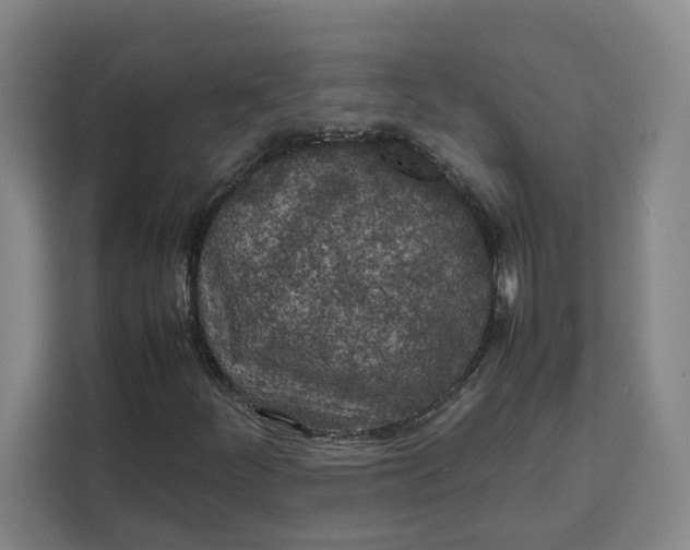 X0000111151252200907141334
