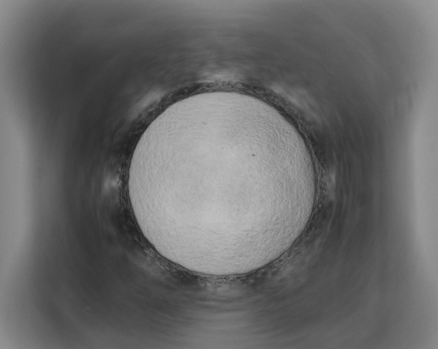 X0000111151254200907141334