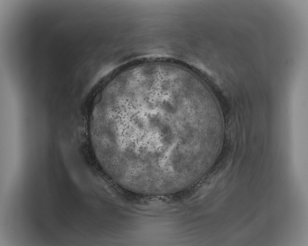 X0000111151255200907141334