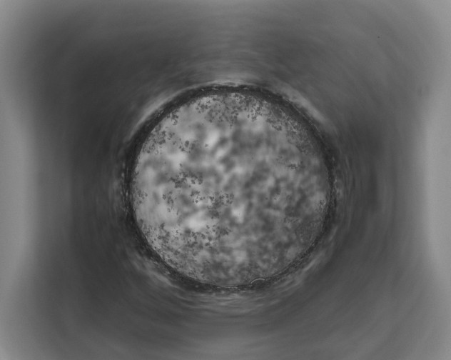 X0000111151256200907141334