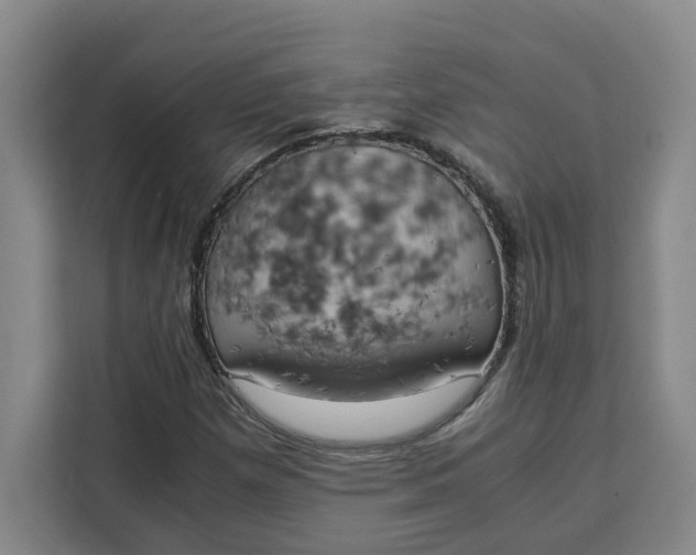 X0000111151257200907141334
