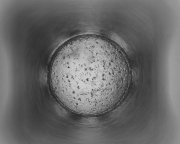 X0000111151260200907141334
