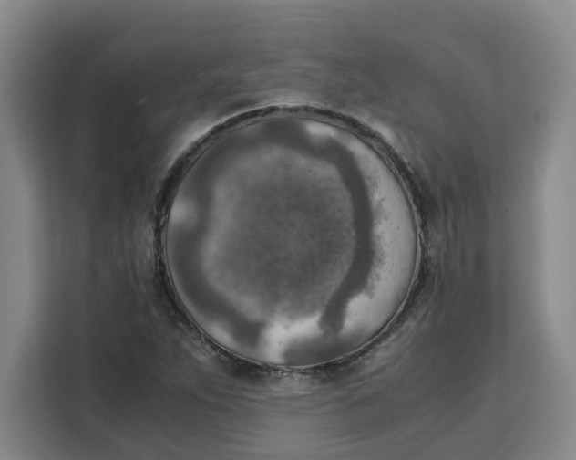 X0000111151263200907141334