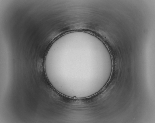 X0000111151265200907141334