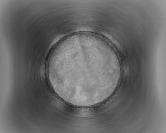 X0000111151266200907141334