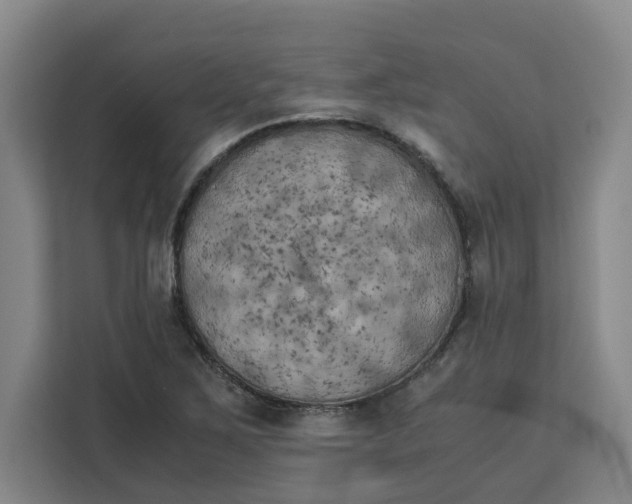 X0000111151267200907141334