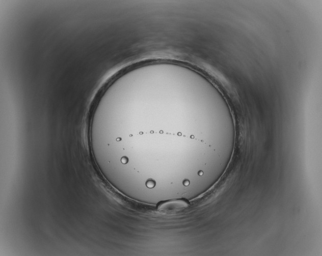 X0000111151272200907141334