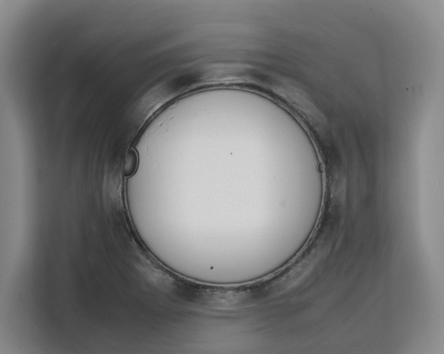 X0000111151273200907141334