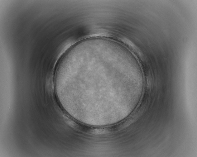 X0000111151274200907141334