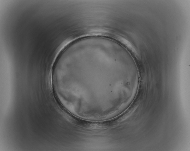 X0000111151275200907141334